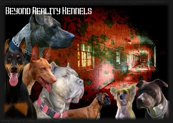 Beyond Reality Kennels